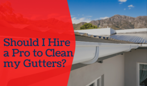 Should-I-Hire-a-Pro-to-Clean-my-Gutters