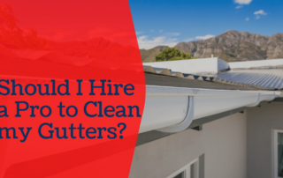 Should-I-Hire-a-Pro-to-Clean-my-Gutters