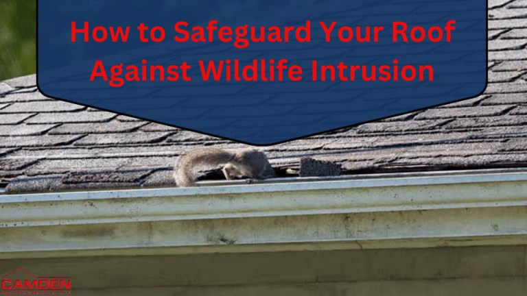 How-to-Safeguard-Your-Roof-Against-Wildlife-Intrusion