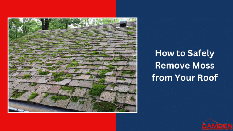 How-to-Safely-Remove-Moss-from-Your-Roof