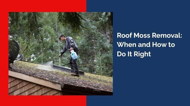 Roof Moss Removal